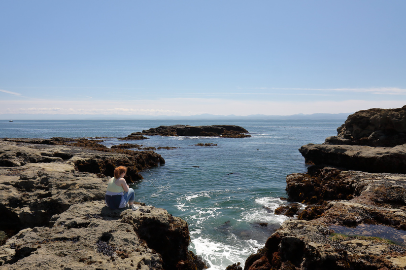Illustration for article titled Pics from the (Ocean Floor): 2018-05-05 at Botanical Beach
